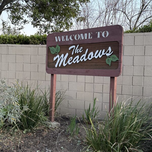 Altadena: A Haven for Black Resilience Under Threat