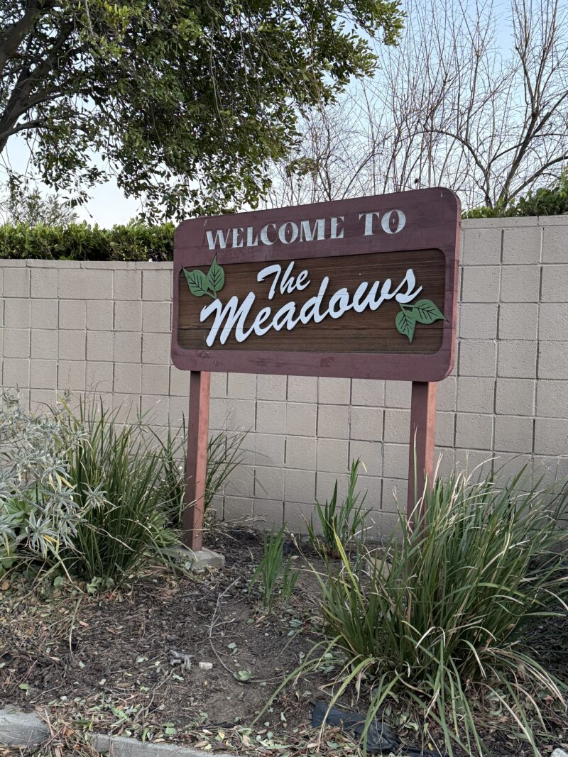 Altadena: A Haven for Black Resilience Under Threat